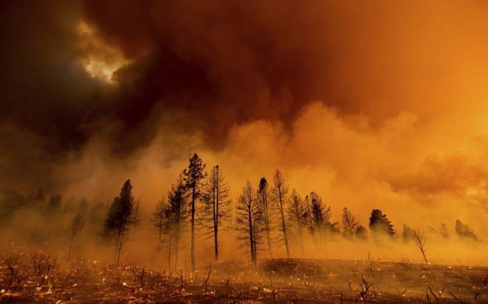 В Чили десятки тысяч гектаров охвачены лесным пожаром

