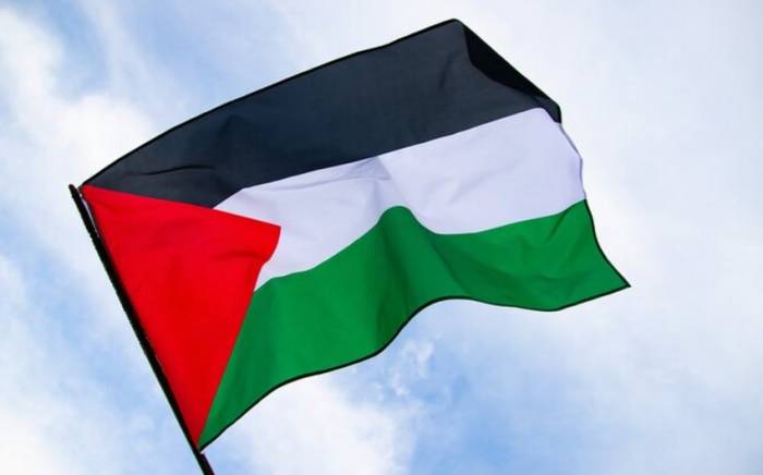 Власти Палестины осудили решение конгрессменов запретить въезд в США всем членам ООП
