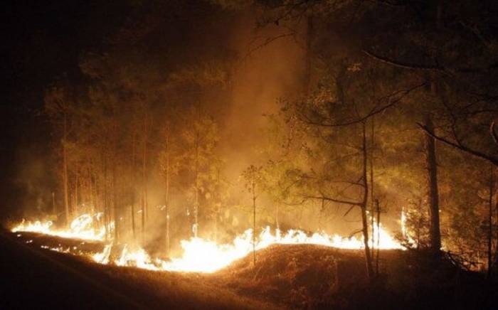 Губернатор Техаса ввел чрезвычайное положение в 60 округах штата из-за пожаров
