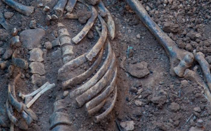 Скелетированные человеческие останки обнаружены на стройке в Москве
