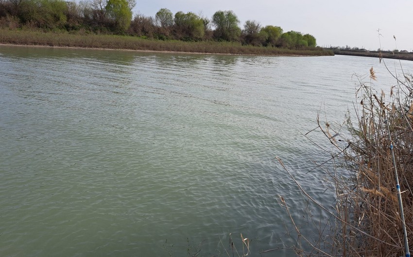 Азербайджан и Грузия разработали план действий по охране бассейна реки Куры