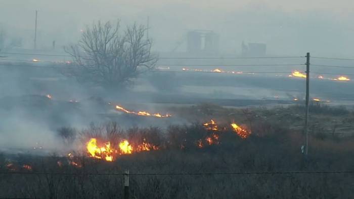 Из-за масштабного лесного пожара в Техасе погибли не менее двух человек
