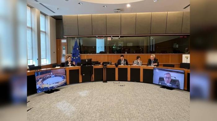 Состоялась онлайн-встреча Парламентской группы Монголии и ЕС

