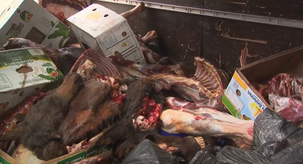 Полиция предотвратила продажу мяса больных и мертвых лошадей и ослов