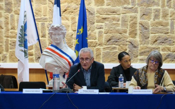 Мэр города во Франции выкрикнул нацистское приветствие
