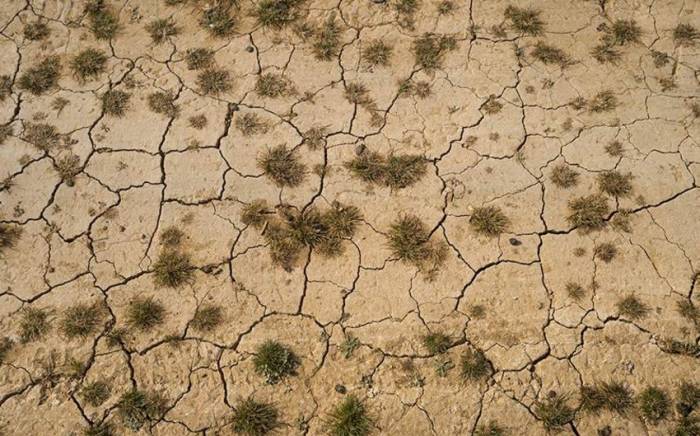 Президент Зимбабве объявил в стране национальное бедствие в связи с засухой
