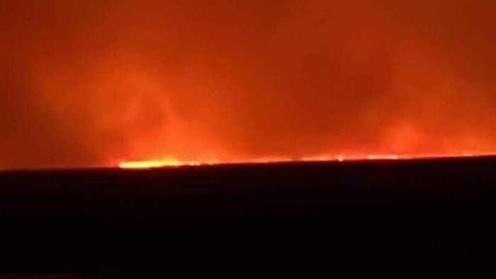 В монгольском аймаке Дорнод огнем уничтожено еще 8 тыс. га земли
