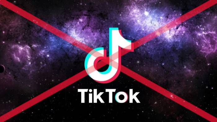 В Казахстане заявили о возможной блокировке TikTok
