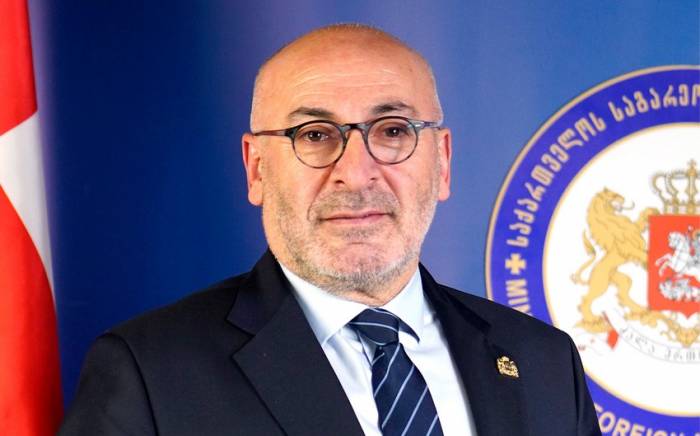 Посол Грузии во Франции подал в отставку из-за законопроекта об иноагентах
