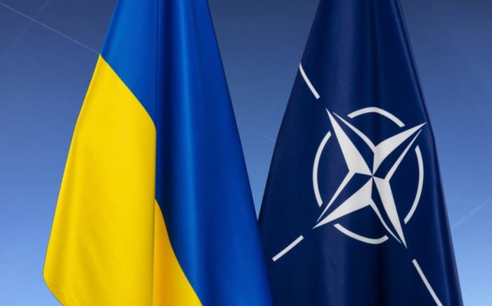 НАТО попросили Зеленского не давить на альянс с вопросом о вступлении Украины
