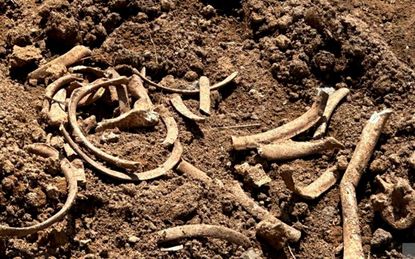 В Малыбейли вновь обнаружены фрагменты человеческих костей 