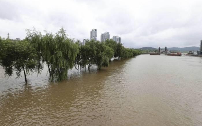 В Бразилии число жертв ливней и наводнений превысило 160

