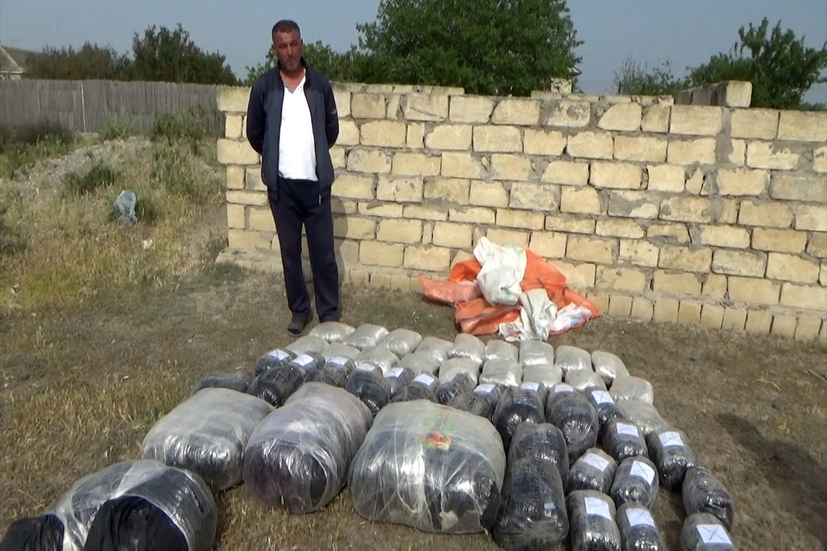 В Азербайджане обнаружено 87 кг наркотиков, доставленных из Ирана, есть задержанный
