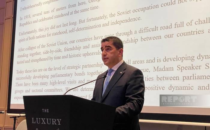 Папуашвили: Мы тесно сотрудничаем с Азербайджаном в обеспечении регионального мира