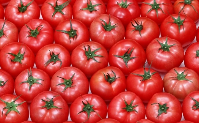 Азербайджанские помидоры не прошли проверку на экспорт