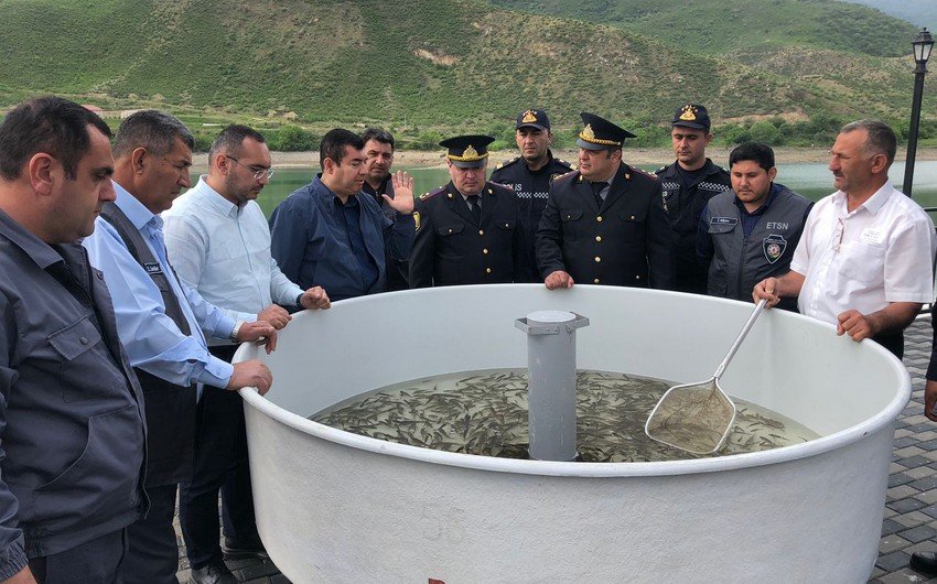 В Суговушанское водохранилище выпустили мальков рыб