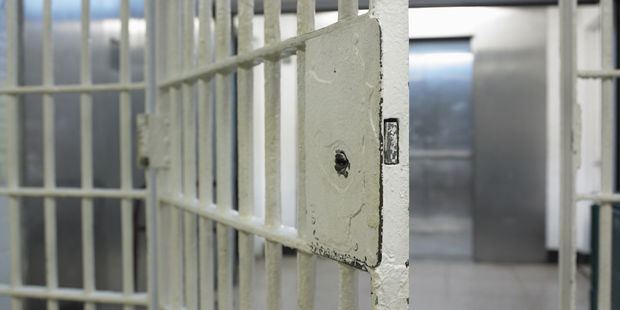 Комиссия по вопросам помилования рассмотрела более 100 обращений