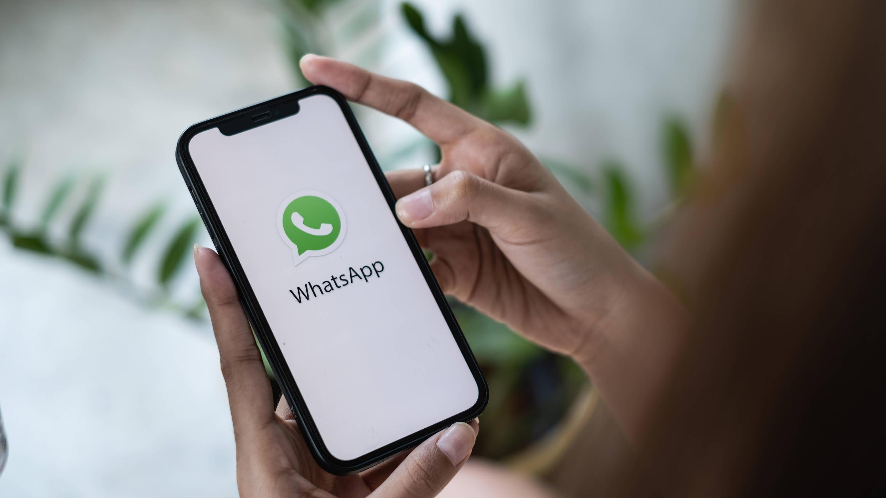 Мессенджер WhatsApp готовит революционное обновление для пользователей