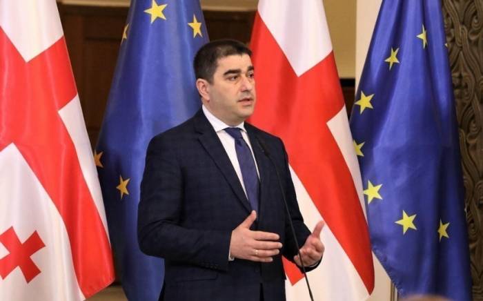 Папуашвили: Возвращение партии Саакашвили к власти будет означать приговор для всей Грузии
