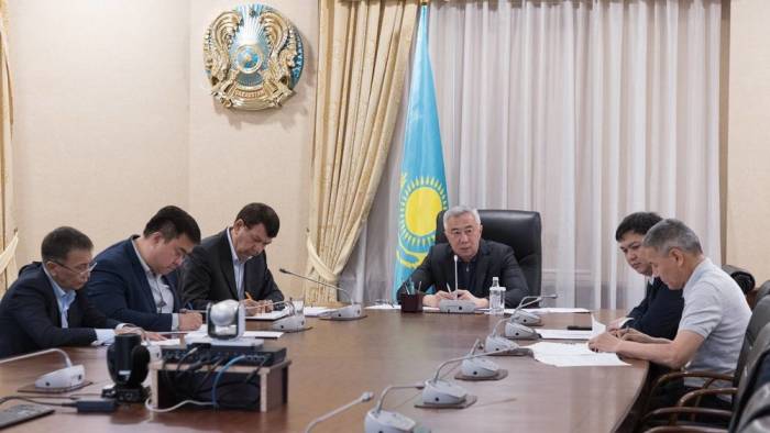 Мы никогда ранее не сталкивались с такими огромными площадями распространения саранчи - вице-премьер Казахстана
