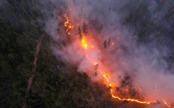 Площадь лесных пожаров в Якутии достигла почти 550 тыс. га
