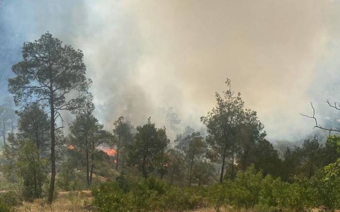 В турецком городе Мерсин вспыхнул лесной пожар.

