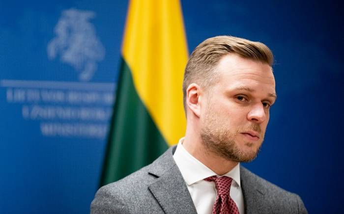 Литва рассматривает возможность отправки военных инструкторов в Украину
