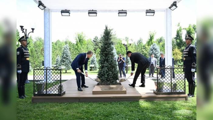Президенты Узбекистана и Монголии посадили дерево на Аллее почетных гостей
