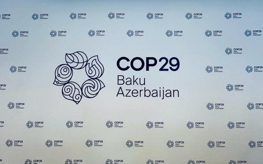 Завершается регистрация на волонтерскую программу COP29