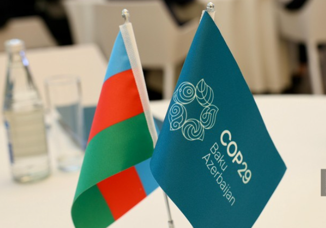 ООН намерена тесно сотрудничать с Азербайджаном в рамках председательства COP29