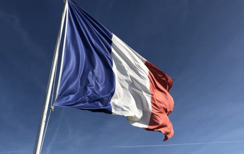 Французская оппозиция обошла коалицию Макрона по итогам опросов перед выборами