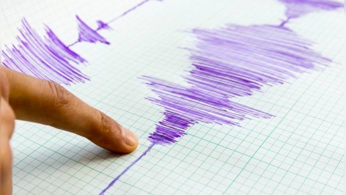 Землетрясение магнитудой 3,7 произошло на границе Казахстана и России
