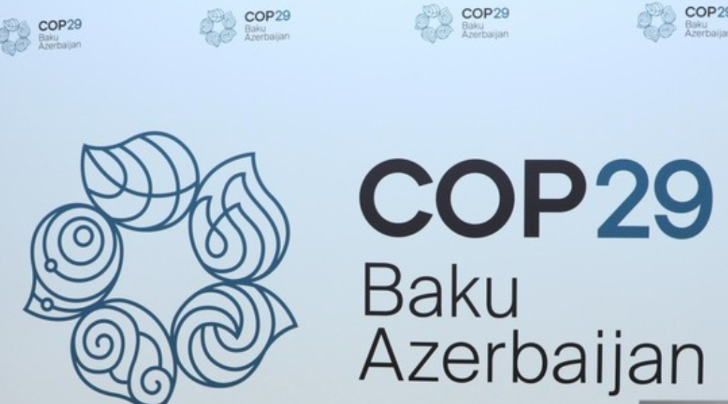 Состоялось открытие Академии COP29