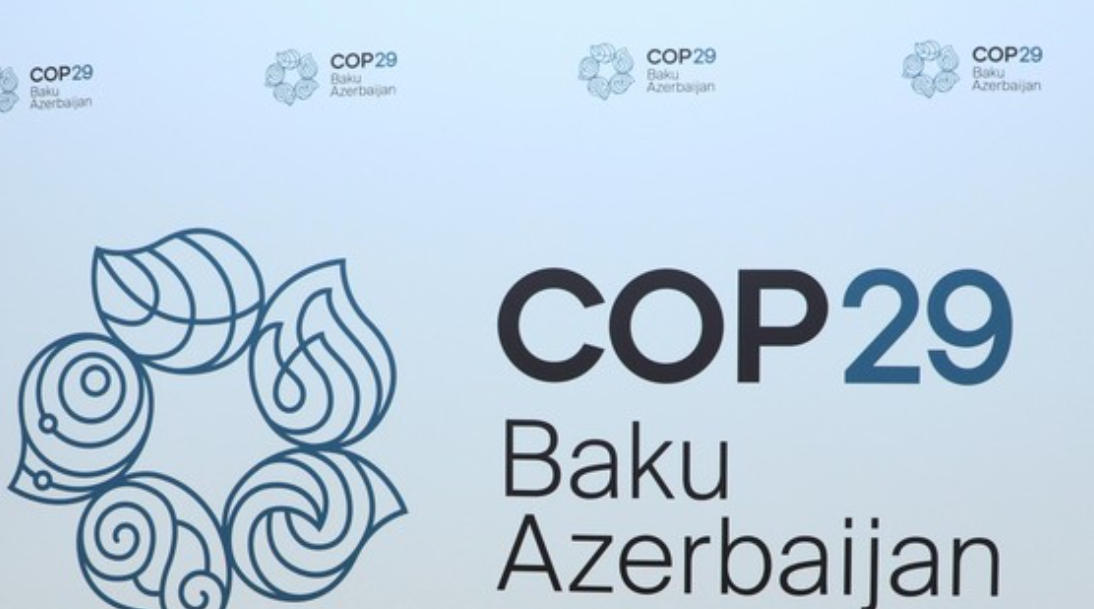 Азербайджан начал выдачу электронных спецвиз участникам COP29
