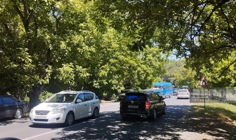 В Огузе упавшая ветка крупного дерева перекрыла автодорогу