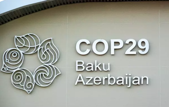 Мария Захарова: Азербайджан превосходно организовал COP29