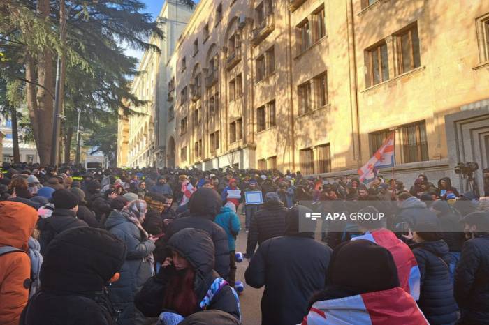 В Тбилиси перед зданием парламента началась акция протеста оппозиции
