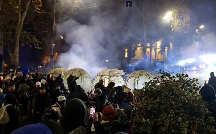 На митинге в Тбилиси полиция задержала 50 человек

