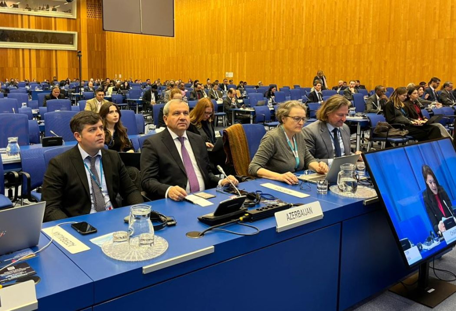 Делегация БГУ приняла участие в сессии подкомитета COPUOS ООН
