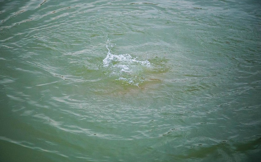 В Агджабединском районе в водоканале утонул человек