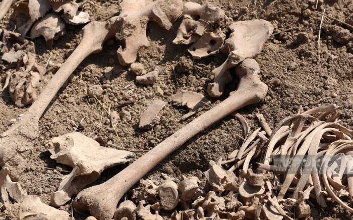 В селе Хыдырлы Агдамского района обнаружены человеческие останки
