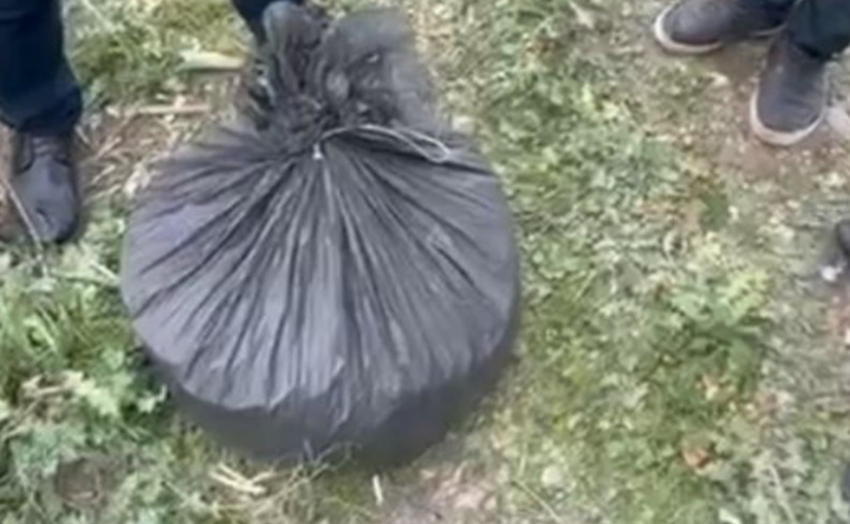 В Шамахы у бывшего заключенного изъяли 8 кг марихуаны