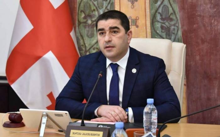 Папуашвили: Страны Балтии не приемлют проведение Грузией суверенной политики
