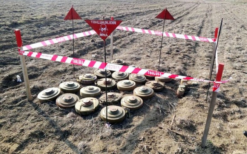 На освобожденных территориях за прошлую неделю обезврежено 204 мины