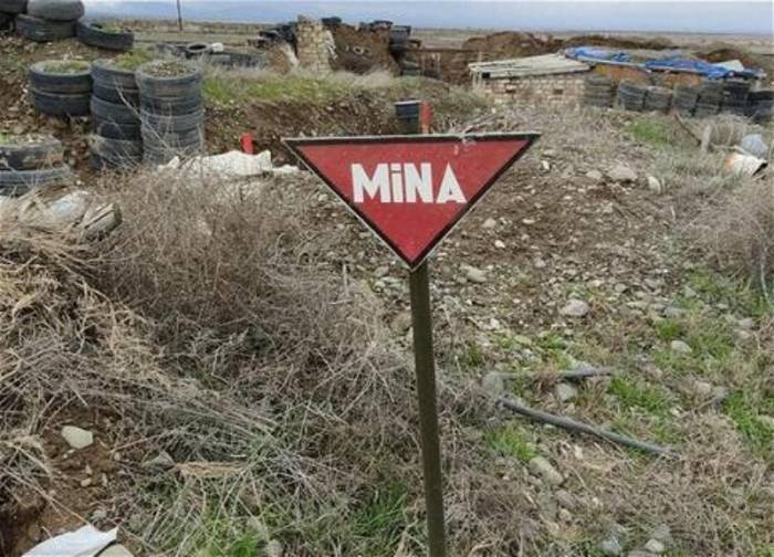 Министерство внутренних дел обратилось к гражданам
