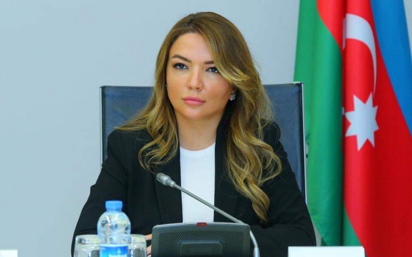 В Совете ООН по правам человека пройдет мероприятие на тему Западного Азербайджана