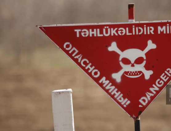 ANAMA: На освобожденных территориях обезврежено еще 138 мин