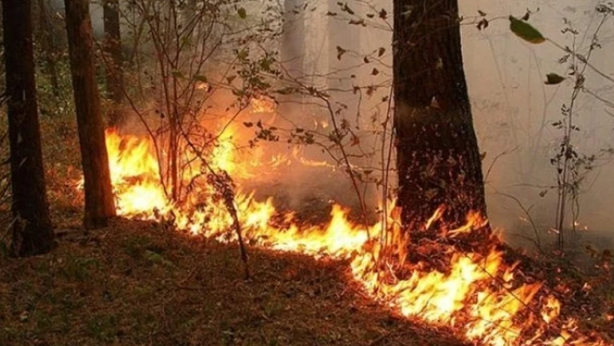 В Гахском районе пожар охватил 100 гектаров горной местности
