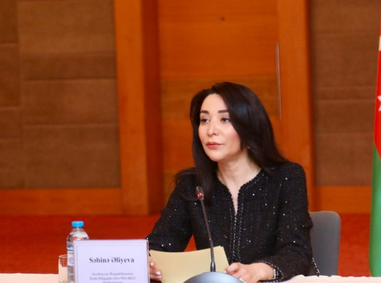 Сабина Алиева: В учреждениях госструктур проведено 352 мониторинга