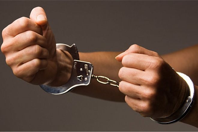 Матерщинных оппозиционеров могут объявить в международный розыск 